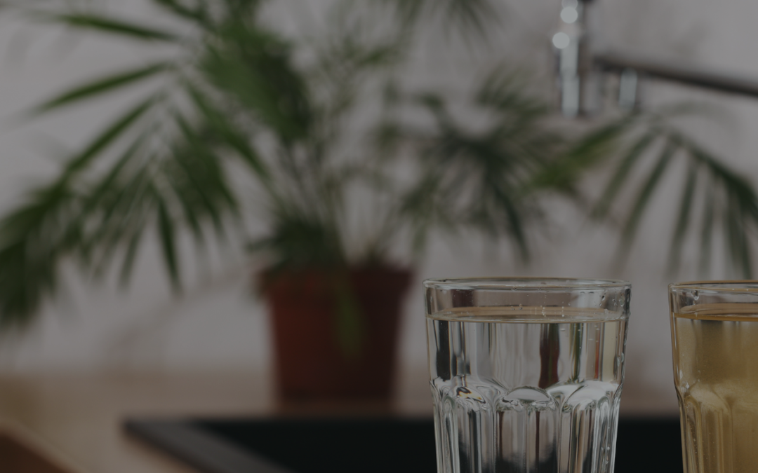 ¿Qué Elimina un Buen Sistema de Filtración de Agua?
