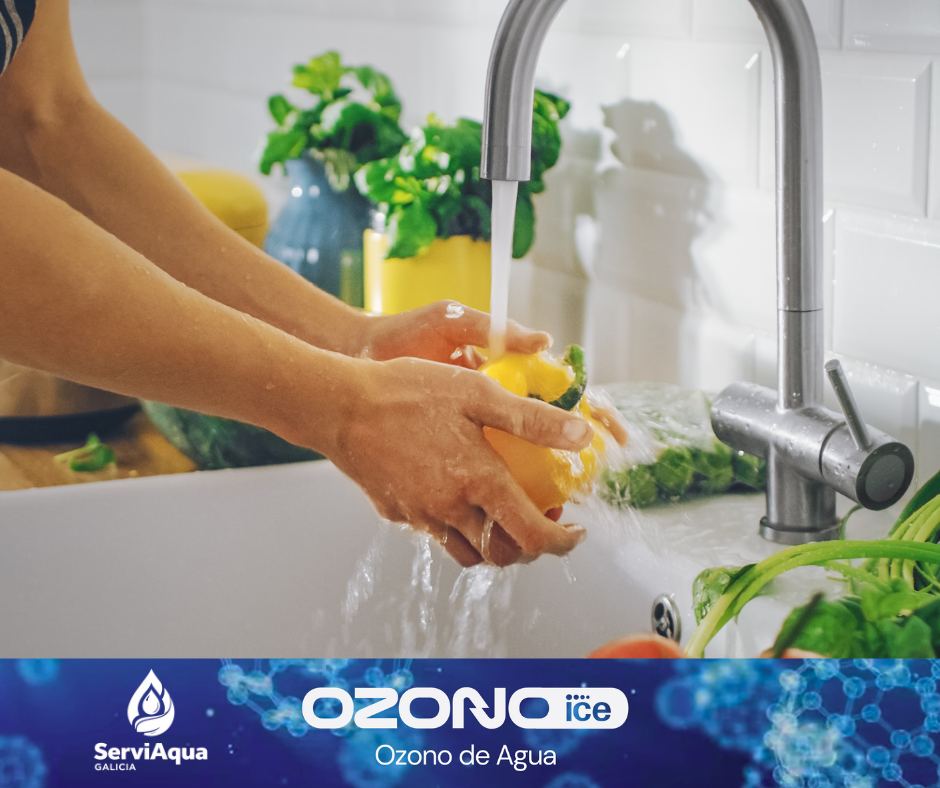 HOGAR OZONO ICE 500 INOX 